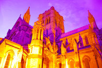  Norwich Cathedral  von Vincent J. Newman