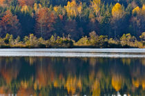 Herbst im Spiegel by Thomas Matzl