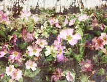 'Spring Is Here With Texture' by florin