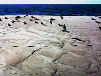 Gulls on the Beach IV von Carlos Segui