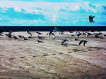 Gulls on the Beach V by Carlos Segui