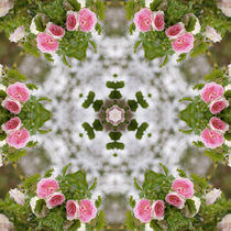 Rosenmandala, Mandala of roses von Sabine Radtke
