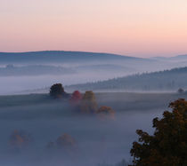 Herbstmorgen von Thomas Jäger