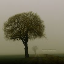 foggy morning by franziskus