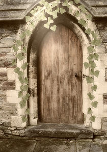 Door to Somewhere by CHRISTINE LAKE