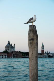 Venedig am Morgen by Thomas Jäger