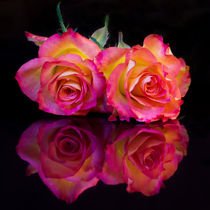 Two reflected roses von Pete Hemington