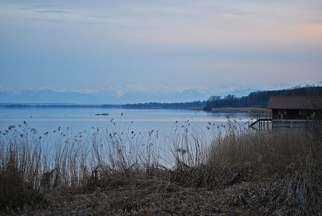 Ammersee33