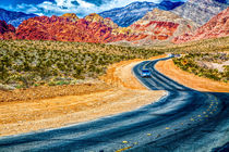 Red Rock Canyon von Lev Kaytsner