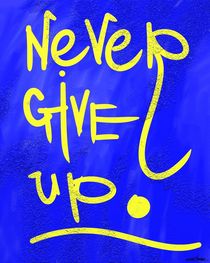 Never Give Up von Vincent J. Newman