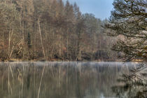 Winter Reflectons by David Tinsley