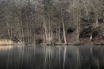 Winter at Cannop Ponds - 2 von David Tinsley