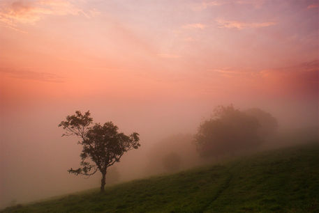 Misty-dawn