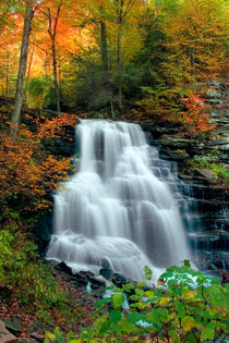 October Foliage Surrounds Erie Falls von Gene Walls