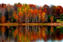 Brilliant Autumn Colors On The Lake by Gene Walls