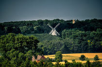 Landschaft mit Windmühle by Marianne Drews