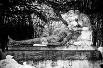  Notre-Dame-des-Neiges Cemetery by David Hare