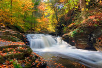 Brilliant Fall Hues Highlight Conestoga Falls by Gene Walls