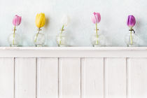 five tulips by Ruby Lindholm