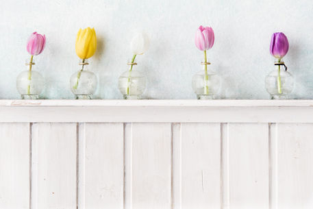 Five-tulips