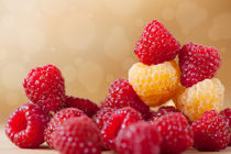 red and golden raspberry fruits by Arletta Cwalina