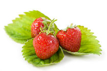 Three fresh strawberries fruits by Arletta Cwalina