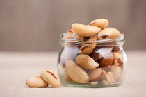Brazil nuts from Bertholletia excelsa von Arletta Cwalina