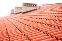 Overlapping rows of red tiles roof by Arletta Cwalina