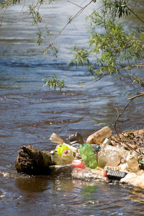 plastic bottles damage river by Arletta Cwalina