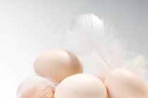 eggs heap and white fluffy feather by Arletta Cwalina