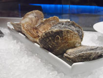 Closed oysters on ice by Gema Ibarra