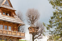 Fairy wooden tree house by Arletta Cwalina