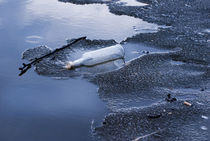 bottle garbage on melting ice by Arletta Cwalina