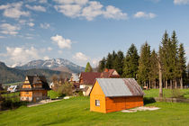 Bucolic view in Koscielisko village by Arletta Cwalina
