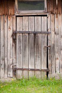 shed dilapidated cubby door by Arletta Cwalina