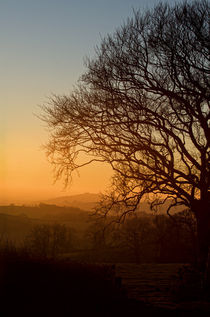 Raddon Hill at sunset von Pete Hemington