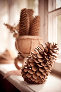 Large old dried cones on windowsill by Arletta Cwalina