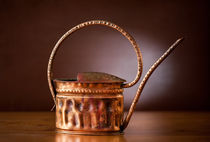 domestic vintage brass watering can by Arletta Cwalina