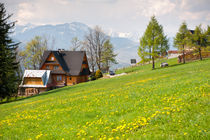 spring meadow and wooden house by Arletta Cwalina