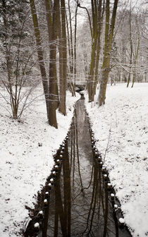 Stream in winter Royal Baths Park von Arletta Cwalina