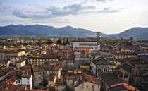 Lucca by emanuele molinari