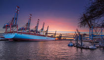 Eleonora Maersk III von photoart-hartmann