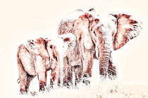 Animals Of The Rainbow Elephants von Aidan Moran