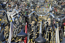 bicycle-parking von JACINTO TEE