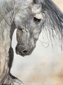 Heavy Horse von Lyn Banks