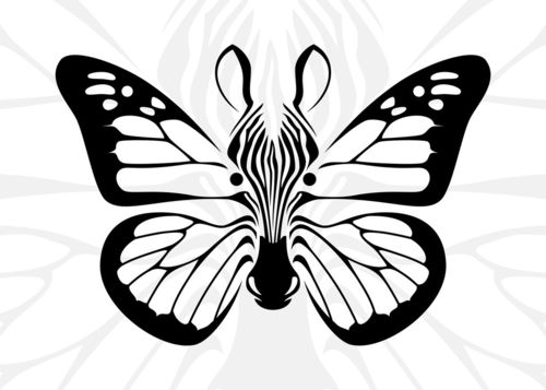Zebutterfly