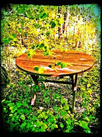 Table in the Backyard von Sabine Cox