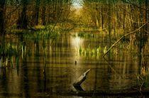Fantasy Waterlandscape by Tanja Riedel
