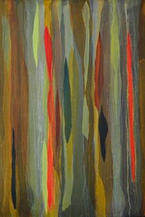 Regenbogeneukalyptus von Marion Elsa Weigeldt