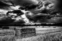 The Late Summer Farm England by David Pyatt